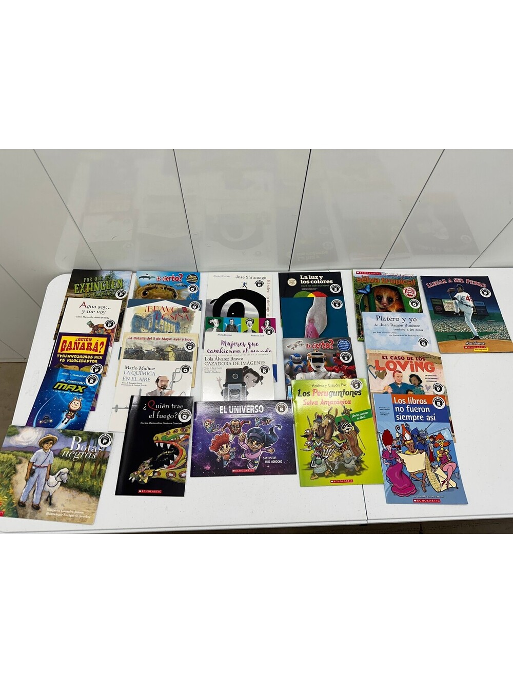 Scholastic 23 SPANISH Grade 4-6 Guided Reading Readers Books Level P, Q, R, S